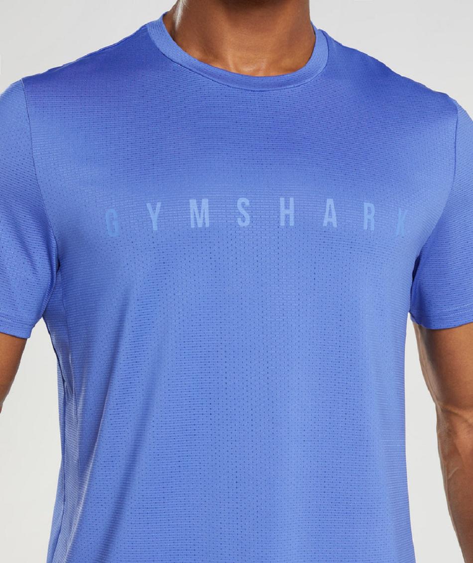 T Shirts Męskie Gymshark Sportowe Stripe Niebieskie | PL 3950SGL